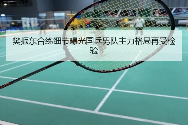 樊振东合练细节曝光国乒男队主力格局再受检验